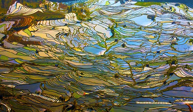 優(yōu)秀獎(jiǎng)《梯田之美》 山東鄒城 于波.jpg