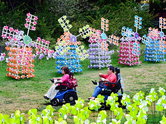 入選獎《夫妻欣賞風(fēng)車》中國臺灣 張立仁.jpg