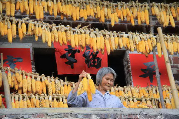 銅獎 黃建芳 曬“幸?!?JPG