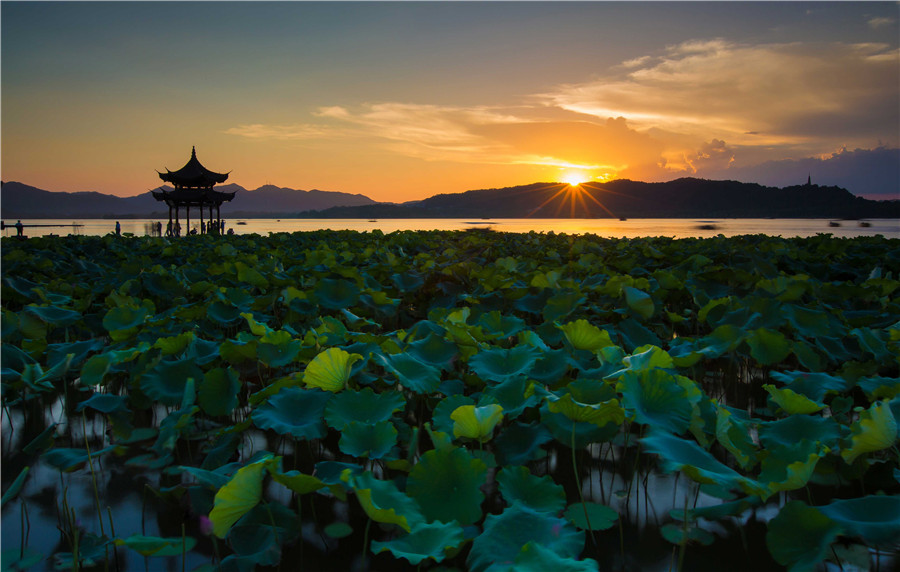 優(yōu)秀獎(jiǎng)-《集賢亭日落》-浙江-楊迪.jpg