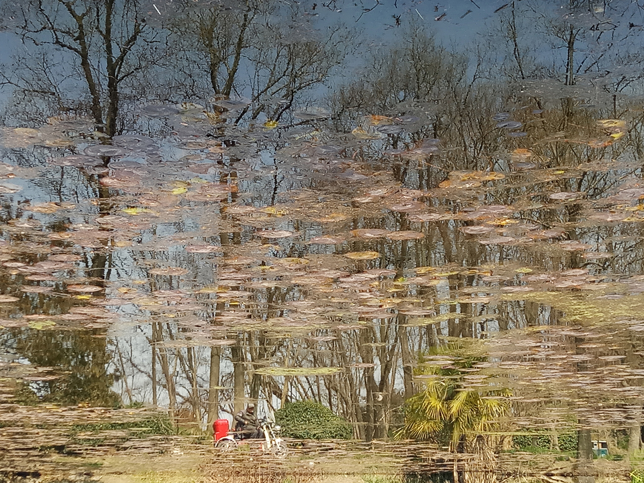 聾人組手機(jī)類(lèi)《鏡湖水月照影行》李國(guó)良.jpg