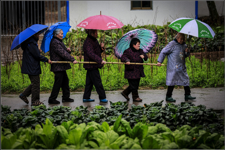 社會(huì)組《帶路》樊兔兔